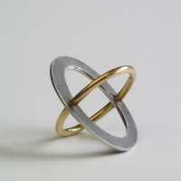 Rokjes ring plat model mer gouden ring gecombineerd.